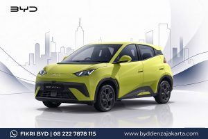 BYD ATTO 1