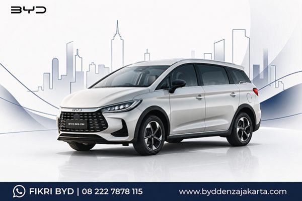 BYD M6 DM